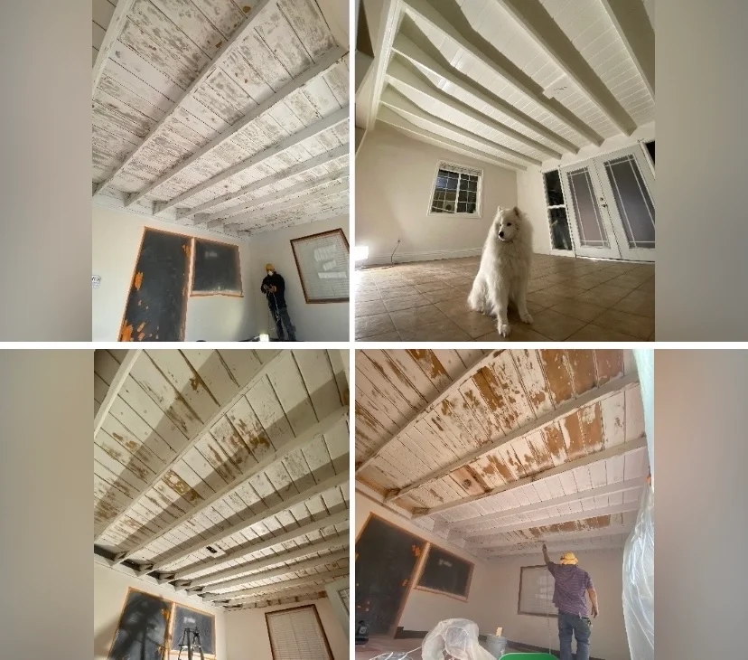 Garage Makeover: Painting Walls, Floors, and Cabinets for a Complete Transformation